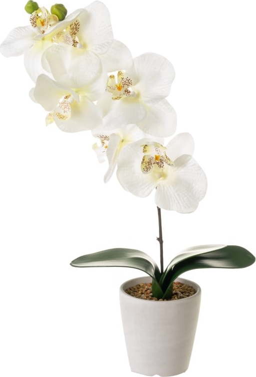Umělá květina Orchid – Casa Selección Casa Selección