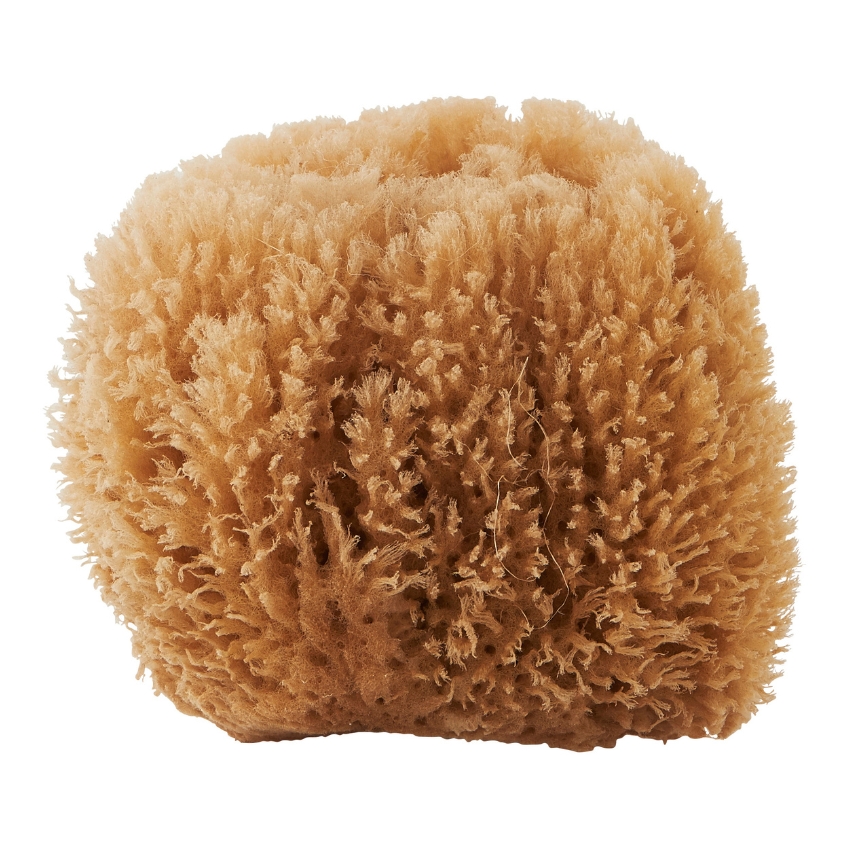 Přírodní mořská houba Meraki Bahamas Meraki