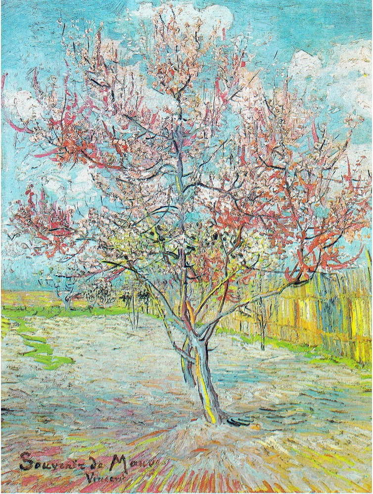 Obraz - reprodukce 50x70 cm Pink Peach Trees