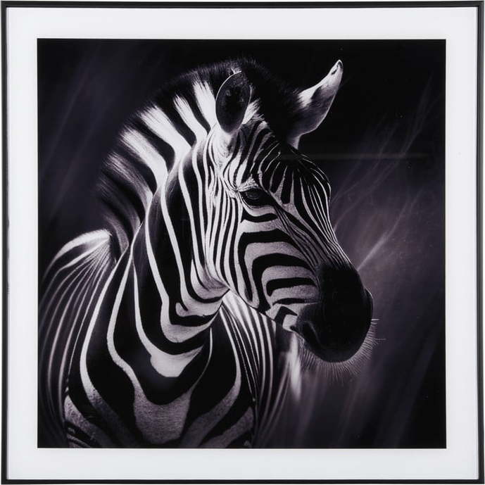 Obraz 50x50 cm Zebra – PT LIVING PT LIVING