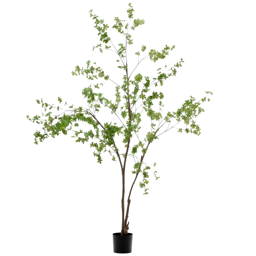 Umělá květina Kave Home Enkianthus 214 cm Kave Home