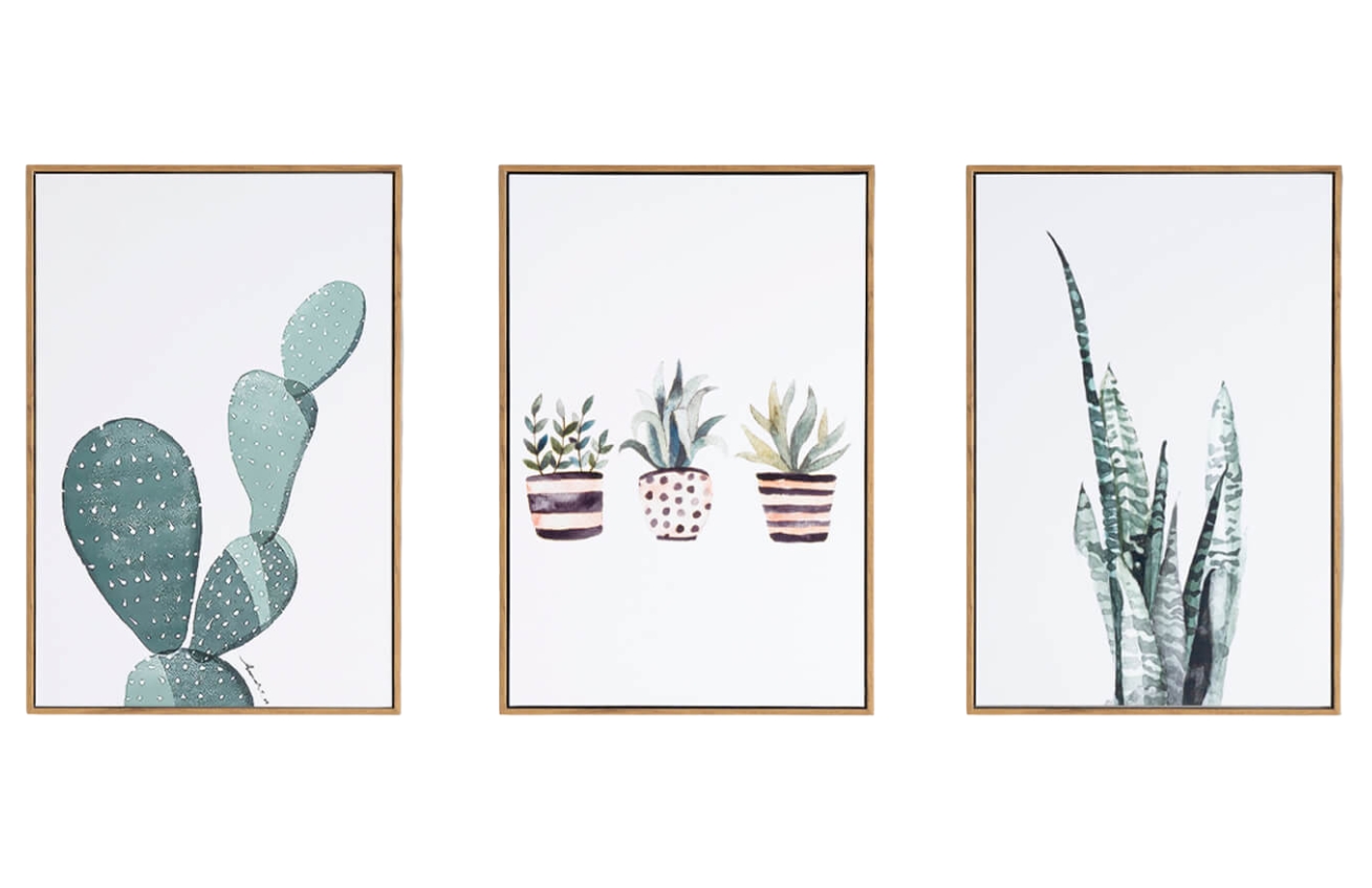 Set tří obrazů Somcasa Cactus 60 x 40 cm Somcasa