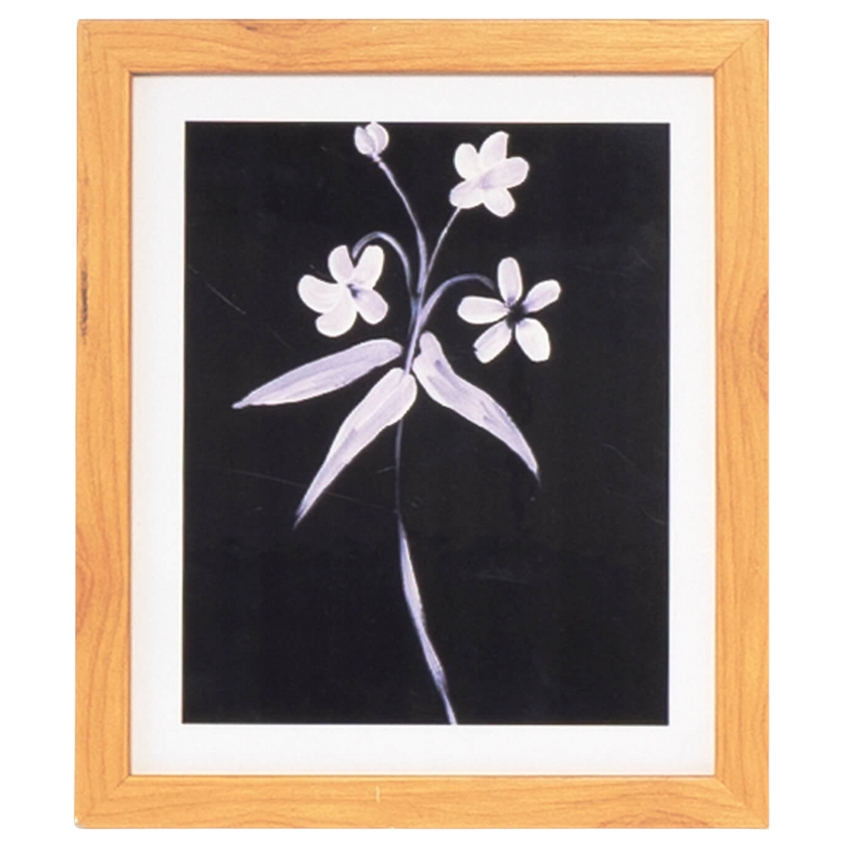 Obraz Somcasa Lily 30 x 25 cm Somcasa