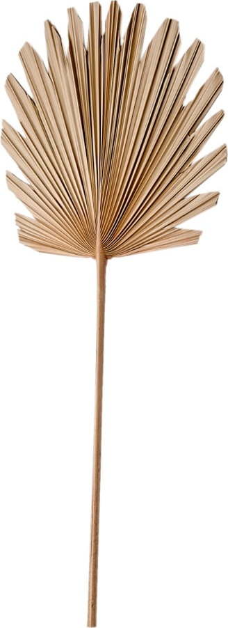 Umělá květina Plantae – Light & Living Light & Living