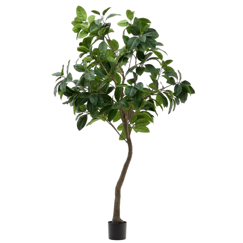 Umělá květina Kave Home Ficus 210 cm Kave Home