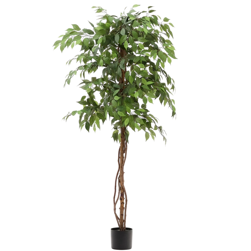 Umělá květina Kave Home Ficus 180 cm Kave Home