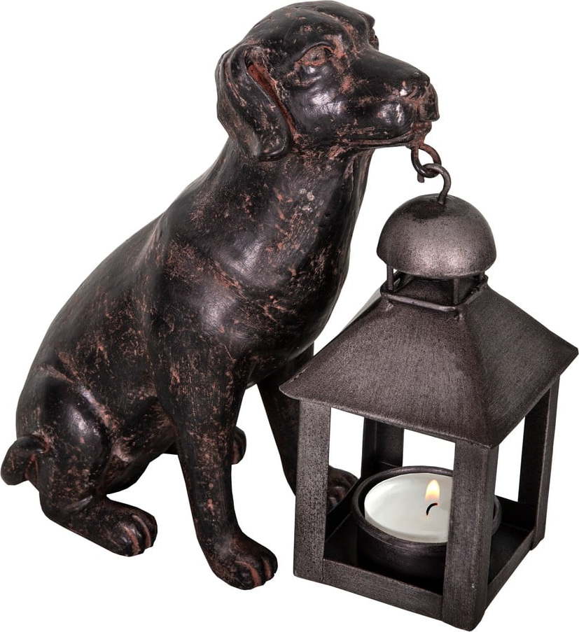 Polyresinová lucerna (výška 19 cm) Dog – Antic Line Antic Line