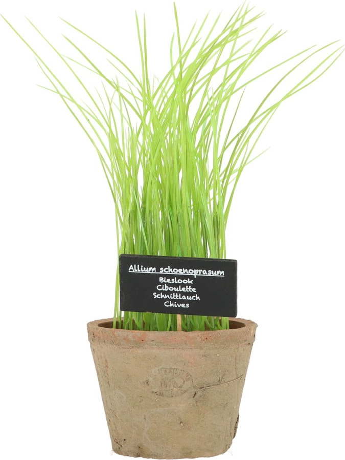 Umělá rostlina (výška 27 cm) Chives – Esschert Design Esschert Design