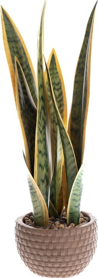 Umělá rostlina (výška 35 cm) – Dakls Dakls