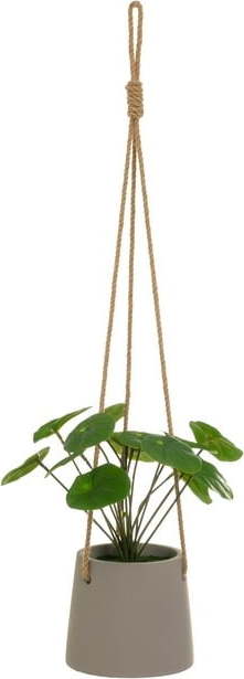 Umělá rostlina (výška 24 cm) Pilea – Casa Selección Casa Selección