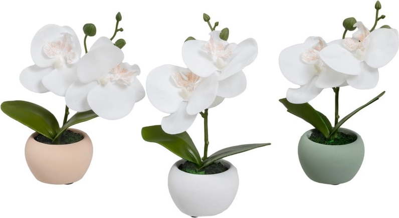 Umělé rostliny v sadě 3 ks (výška 15 cm) Orchid – Casa Selección Casa Selección