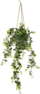 Uměl&aacute; květina Fern &ndash; Casa Selecci&oacute;n Casa Selecci&oacute;n