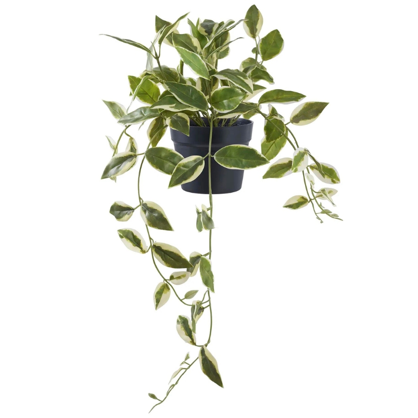 Nordic Living Umělá květina Hoya 33 cm Nordic Living