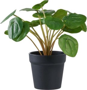 Uměl&aacute; rostlina (v&yacute;&scaron;ka 28 cm) Pelia &ndash; House Nordic House Nordic