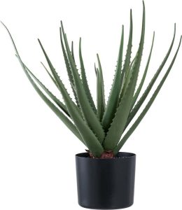 Uměl&aacute; rostlina (v&yacute;&scaron;ka 51 cm) Aloe Vera &ndash; House Nordic House Nordic