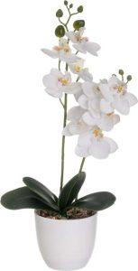 Uměl&aacute; květina (v&yacute;&scaron;ka 39 cm) Orchid &ndash; Casa Selecci&oacute;n Casa Selecci&oacute;n