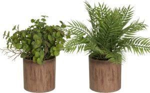 Uměl&eacute; rostliny v sadě 2 ks (v&yacute;&scaron;ka 22 cm) &ndash; Casa Selecci&oacute;n Casa Selecci&oacute;n