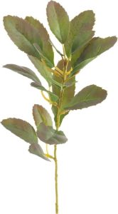 Uměl&aacute; větvička (v&yacute;&scaron;ka 37 cm) Lemon Tree &ndash; Ixia Ixia