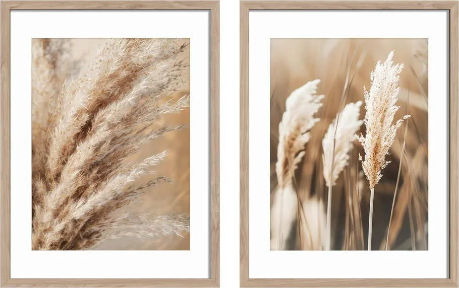Obrazy v sadě 2 ks 30x40 cm Selloana – Styler