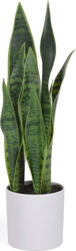 Umělá rostlina (výška 55 cm) Sansevieria – Kave Home Kave Home