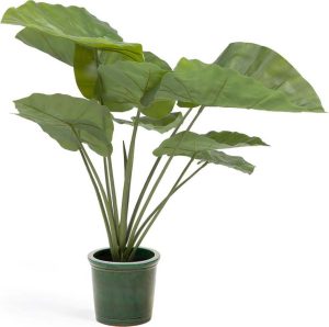 Uměl&aacute; rostlina (v&yacute;&scaron;ka 57 cm) Odora &ndash; Kave Home Kave Home