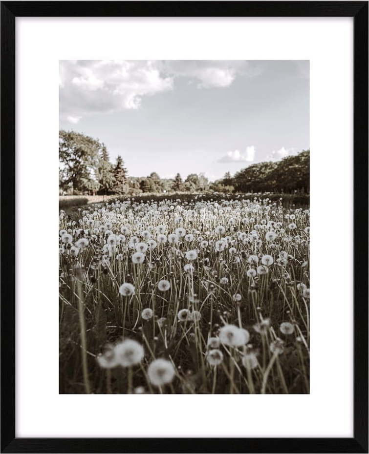 Obraz 40x50 cm Meadow – knor knor
