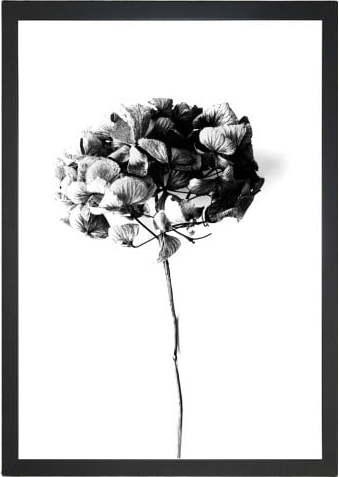 Obraz 24x29 cm Velvet Flower – Vavien Artwork Vavien Artwork