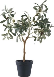 Uměl&yacute; olivovn&iacute;k (v&yacute;&scaron;ka 61 cm) &ndash; House Nordic House Nordic