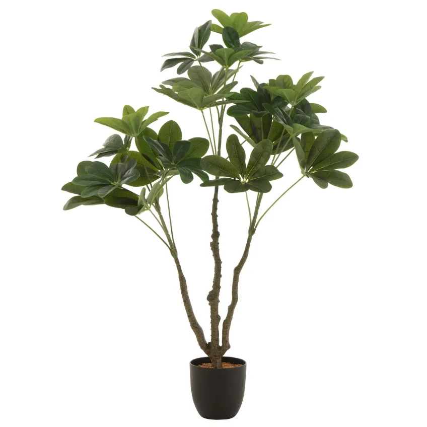 J-line Umělá květina Money Tree