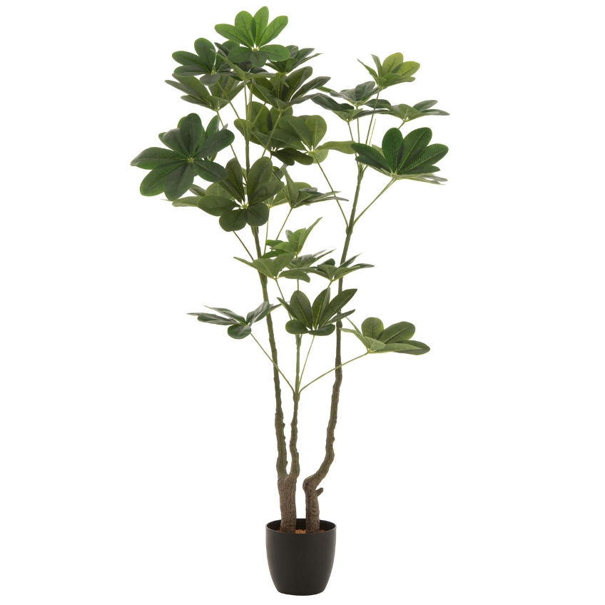 J-line Umělá květina Money Tree 157 cm J-line