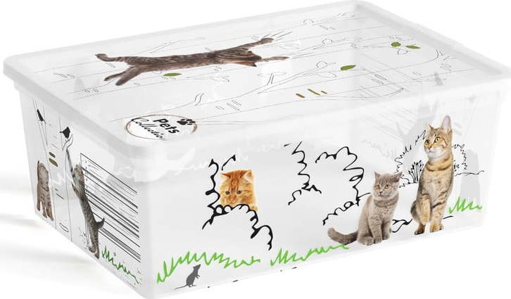 Bílý plastový úložný box s víkem 37x26x15 cm C Box Style – KIS KIS