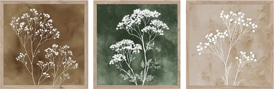 Obrazy v sadě 3 ks 30x30 cm Floral Imprint – Styler