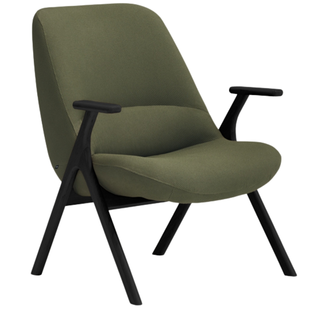 Teulat Nízké zelené křeslo Dins s černou dřevěnou podnoží Teulat