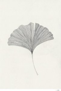 Plak&aacute;t 50x70 cm Ginkgo Leaf &ndash; Ana Frois &ndash; The Poster Club The Poster Club