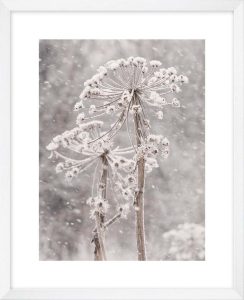 Obraz 40x50 cm Snow &ndash; knor knor
