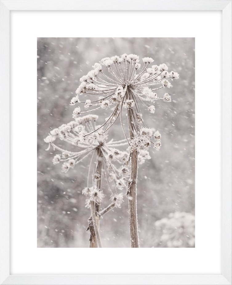 Obraz 40x50 cm Snow – knor knor