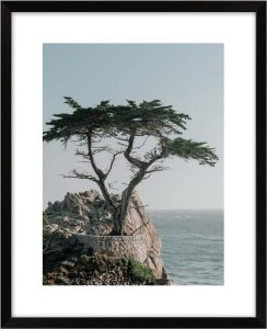 Obraz 40x50 cm View &ndash; knor knor