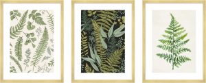 Obrazy v sadě 3 ks 30x40 cm Fern &ndash; knor knor