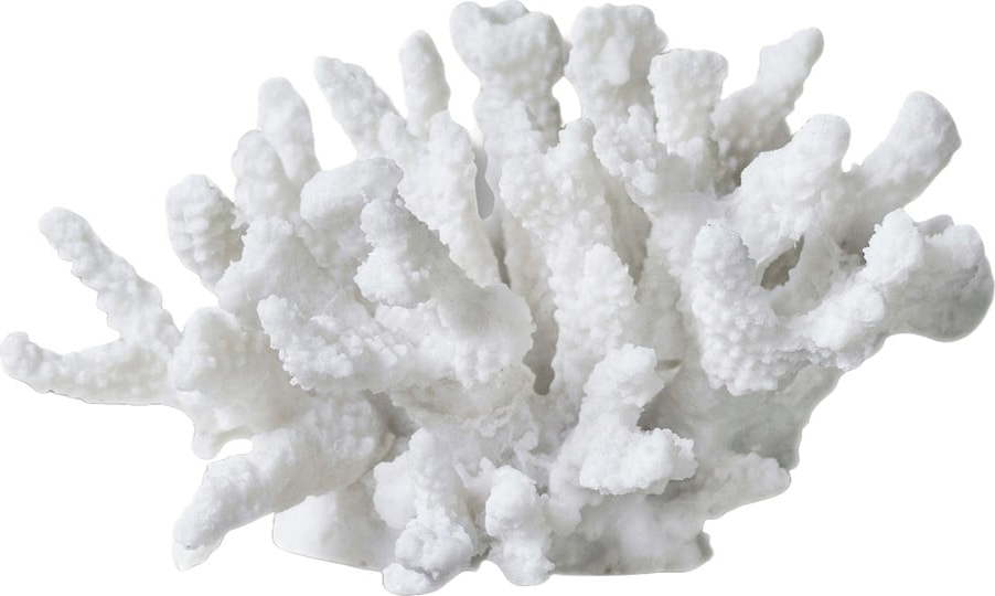 Soška z polyresinu (výška 10 cm) Coral – Mette Ditmer Denmark Mette Ditmer Denmark