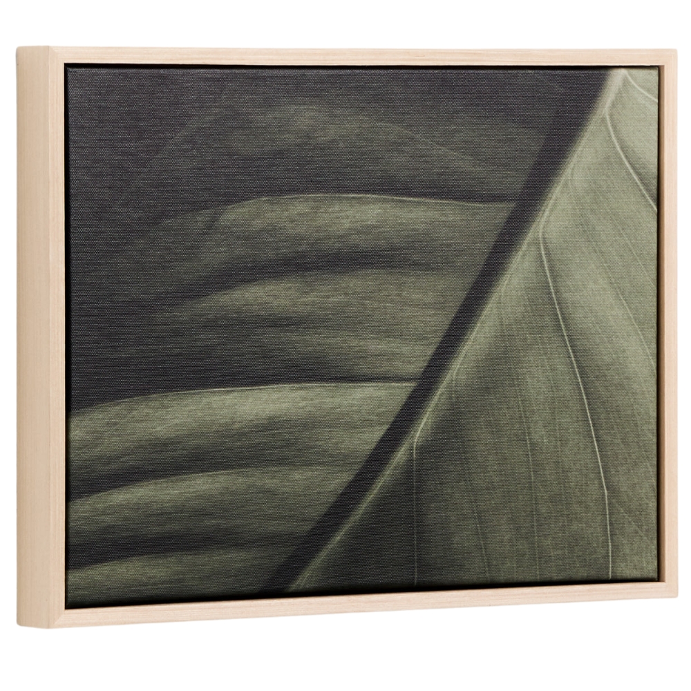 Kave Home Obraz Foliae 30 x 40 cm Kave Home