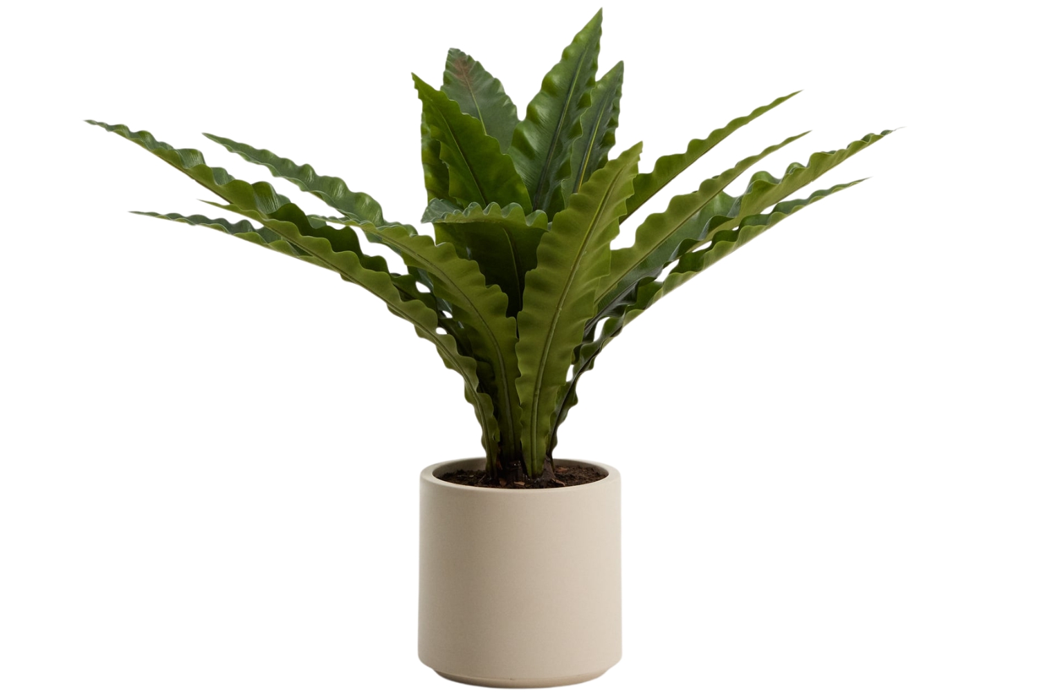 Kave Home Umělá květina Neottopteris 70 cm Kave Home