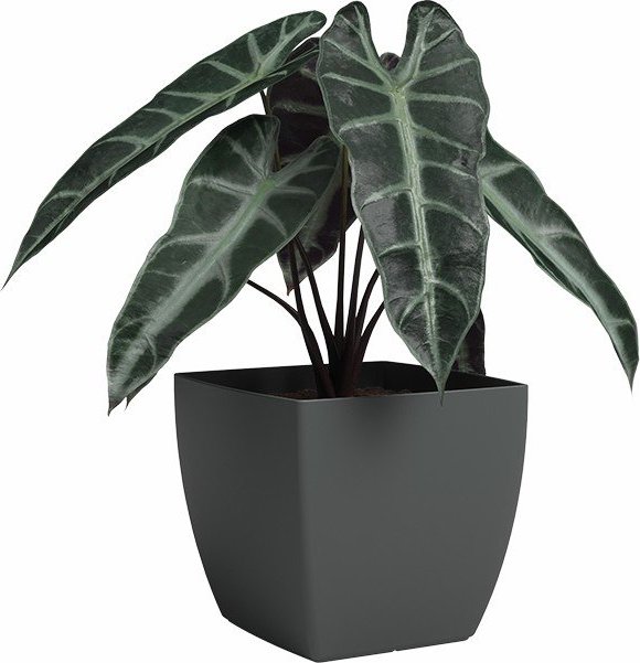 Květináč z recyklovaného plastu Siena – Artevasi Artevasi