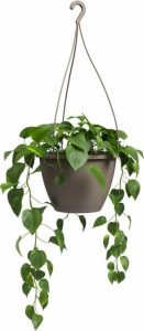 Plastov&yacute; květin&aacute;č &oslash; 31 cm Algarve &ndash; Artevasi Artevasi