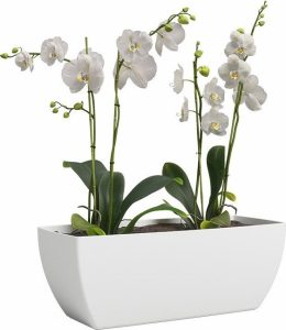Truhl&iacute;k z recyklovan&eacute;ho plastu 30 cm Siena &ndash; Artevasi Artevasi