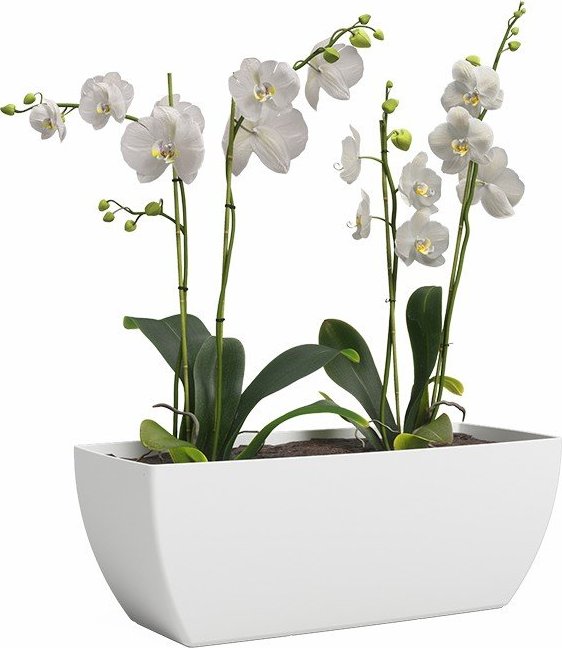 Truhlík z recyklovaného plastu 30 cm Siena – Artevasi Artevasi