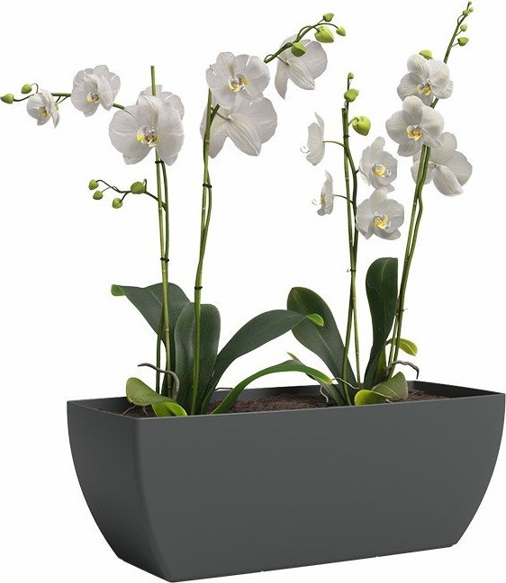 Truhlík z recyklovaného plastu 30 cm Siena – Artevasi Artevasi