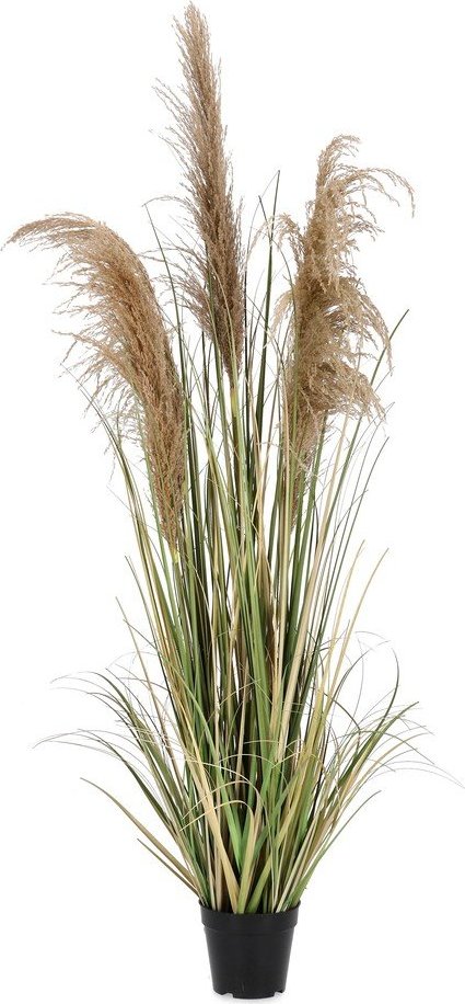 Umělá rostlina (výška 145 cm) Austorderia – Bizzotto Bizzotto