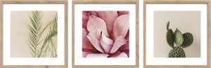 Ti&scaron;těn&eacute; obrazy v sadě 3 ks s r&aacute;mem 30x30 cm Fresh &ndash; Styler Styler