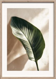 Ti&scaron;těn&yacute; obraz s r&aacute;mem 50x70 cm Strelizia Leaf &ndash; Styler Styler