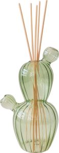 Difuz&eacute;r Cactus &ndash; Brandani Brandani